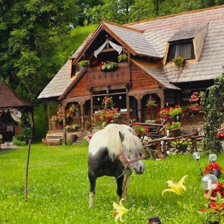 Pensiunea Rustic Oncesti Luaran gambar