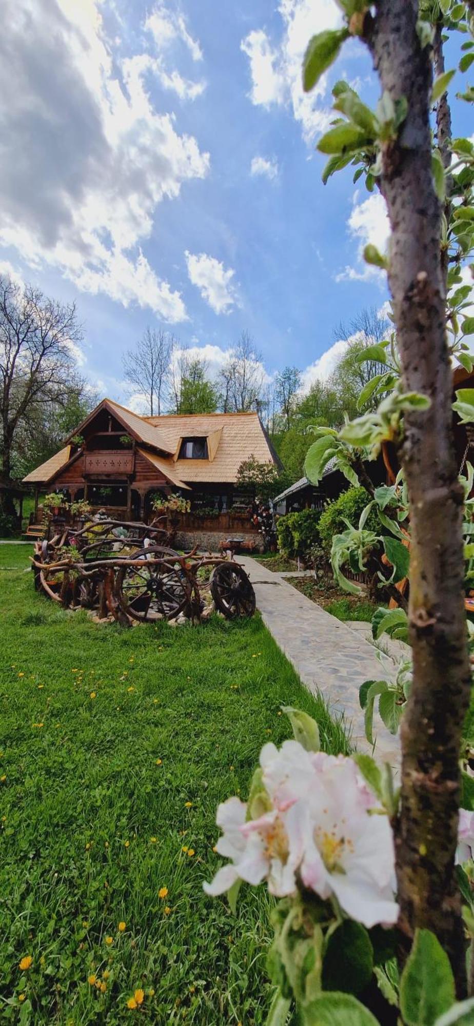 Pensiunea Rustic Oncesti Luaran gambar