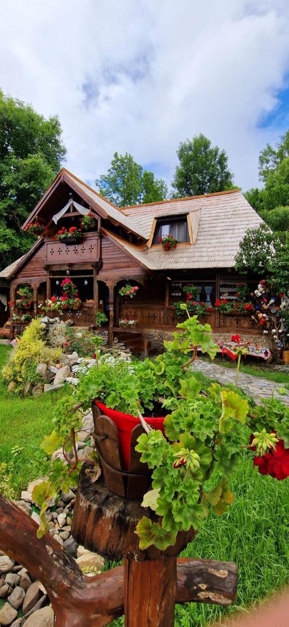 Pensiunea Rustic Oncesti Luaran gambar