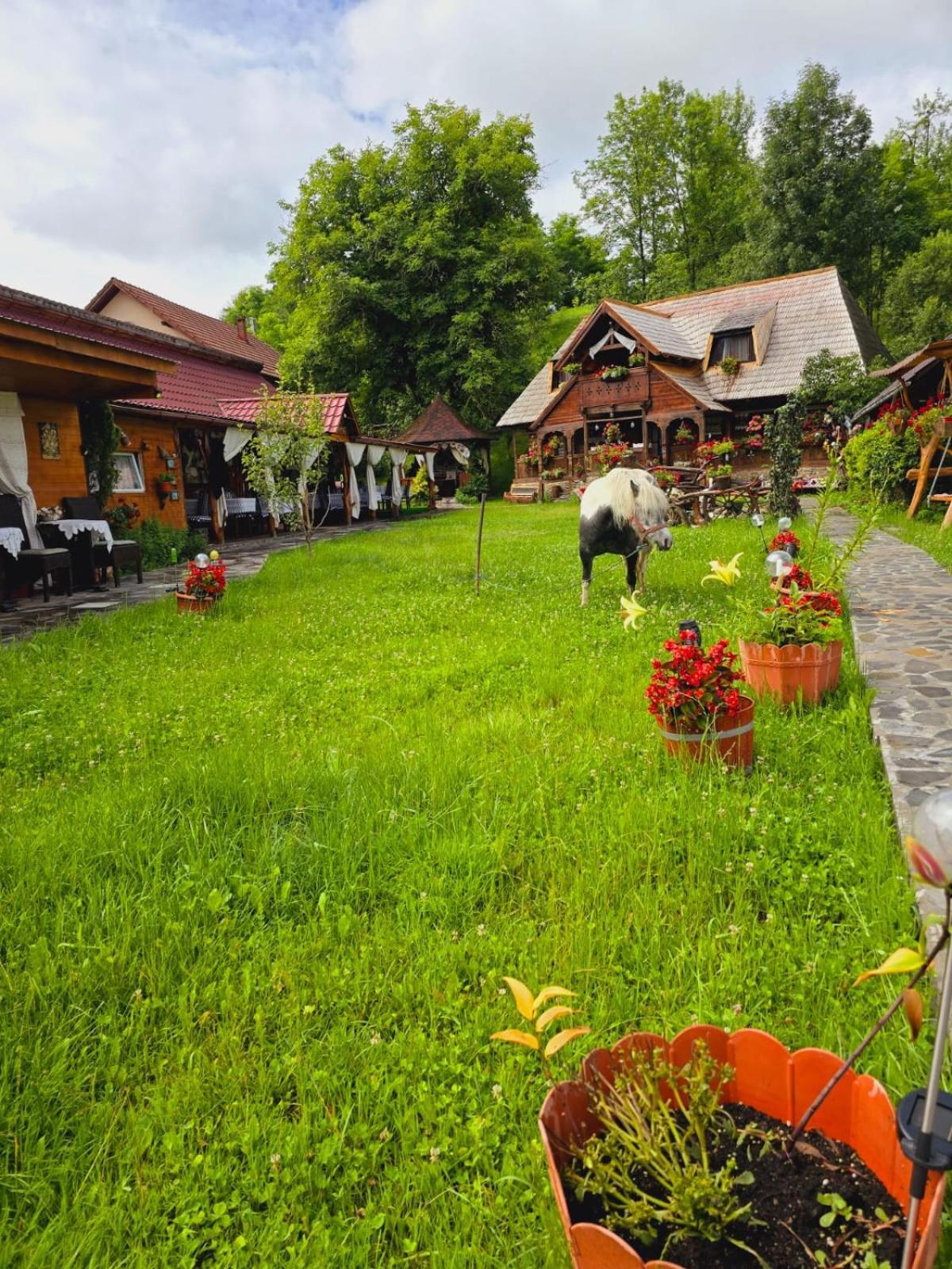 Pensiunea Rustic Oncesti Luaran gambar
